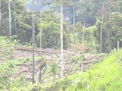 PICT0886.JPG